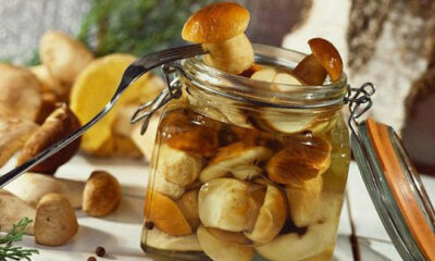 Лесные закуски: маринование грибов
