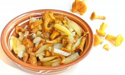 Как приготовить лисички с картошкой жареные со сметаной?